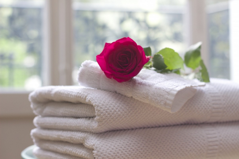 hotel-MEOUNES LES MONTRIEUX-min_towel_rose_clean_care_salon_spa_white_bath-731641